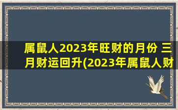 属鼠人2023年旺财的月份 三月财运回升(2023年属鼠人财运旺盛，三月有望财源滚滚，持续回升！)